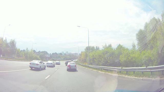 утята на дороге