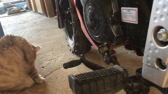 Мопеды сериал | Серия 659