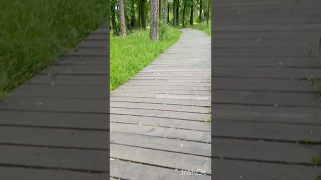 Сектор газа Илья муромец смотреть онлайн