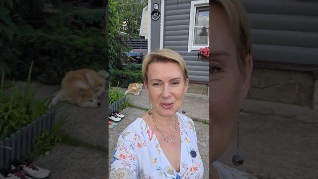 Дача 13 июля | две скатерти и много цветов | что выбрать? смотреть онлайн