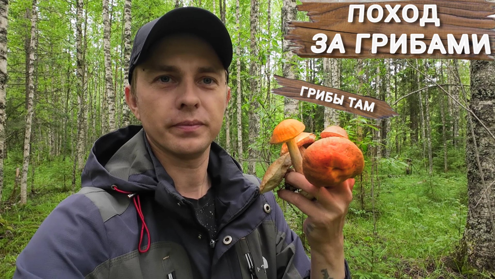 Поход за грибами. Насобирал за 20 минут. смотреть онлайн
