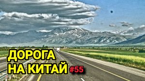 ДОРОГА НА КИТАЙ | ДОРОГИ КАЗАХСТАНА НЕ ПЕРЕСТАЮТ УДИВЛЯТЬ | БЕЛАРУС ДАЛЬНОБОЙ #55