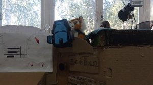 Первый рейс на ситраке  . Картонный дальнобой