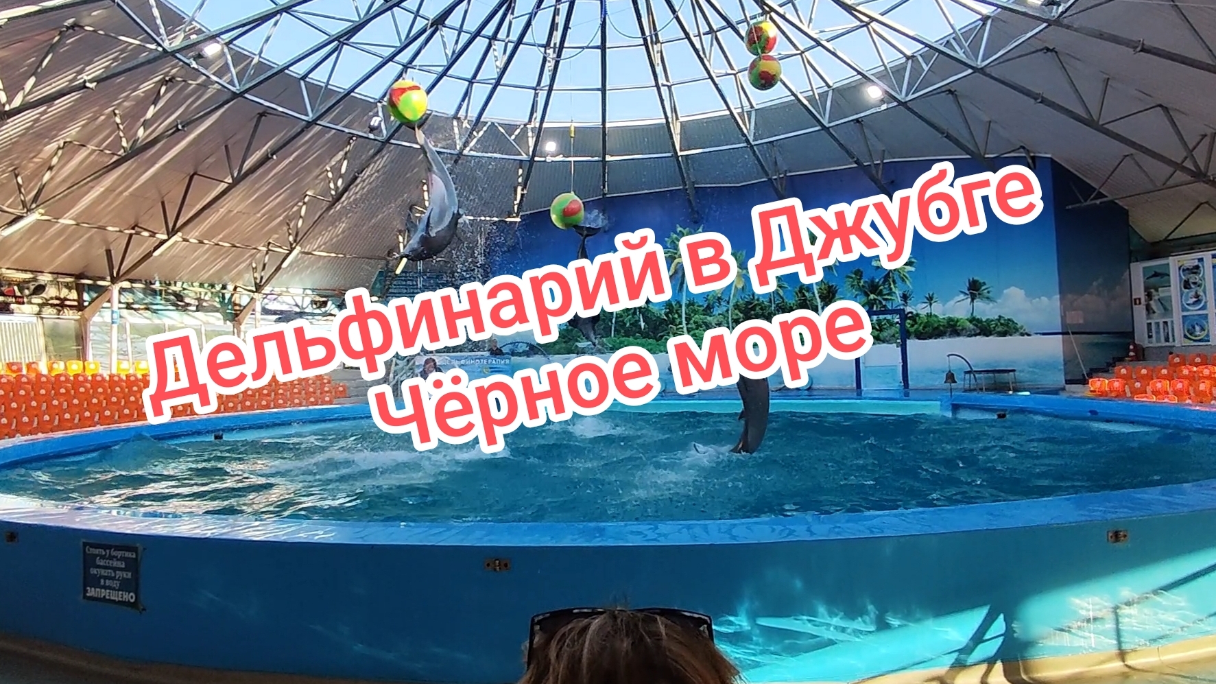 Сходили не зря в Дельфинарий Джубга на Чёрном море. Летний отдых с детьми. смотреть онлайн
