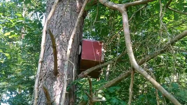 Второй маршрут радует смотреть онлайн