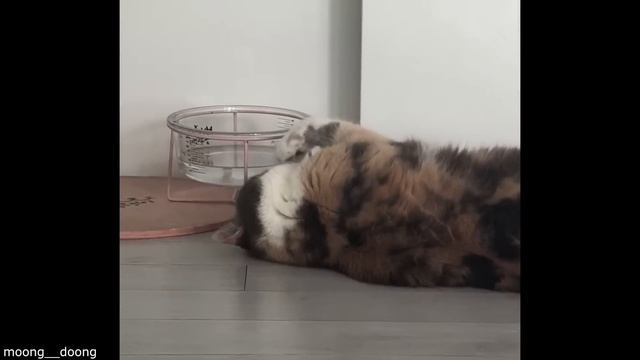 He Was So Embarrassed смотреть онлайн