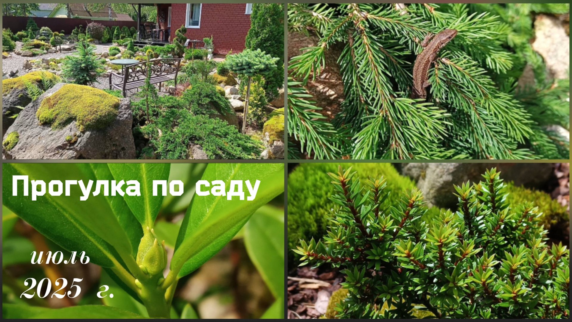 Прогулка по саду.
Июль 2025 г. смотреть онлайн