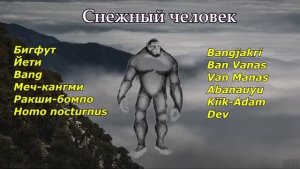 Существует ли Снежный Человек? Где можно встретить Йети