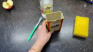 Как избавиться от плесени в холодильнике