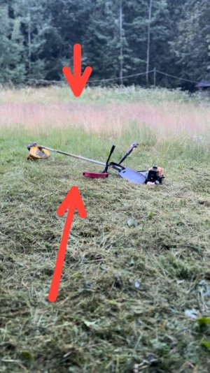 Прелести сельской жизни