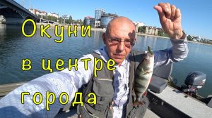 ОКУНЬ на ОТВОДНОЙ ПОВОДОК. Ловим в центре города.