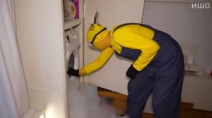 Муд Влад А4 демотиватор (Миньоны в Реальной Жизни)