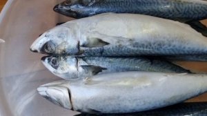 Консерва из скумбрии! Это очень вкусно и полезно!