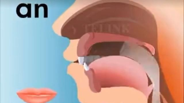 an смотреть онлайн