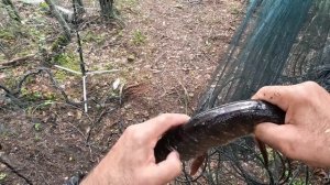 Рыбалка в мгновения между сплошными дождями #7