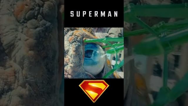 СПАС ДЕВОЧКУ И БЕЛОЧКУ смотреть онлайн