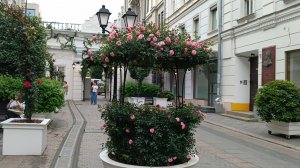 Прогулки по Москве. Лето в Москве. Столешников переулок. Немного Италии.