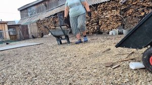 Открываю дверь, а она стоит/ собрала ягоды