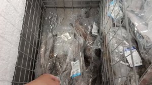 СОБИРАЮ УРОЖАЙ🥒 🍅🍒СЪЕЗДИЛИ ПО МАГАЗИНАМ, ПОКУПКИ.