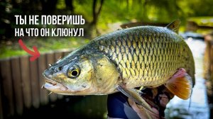 ЭТИ КРОШЕЧНЫЕ ПРИМАНКИ ЛОВЯТ ТАКИХ РЫБ, ЧТО НЕ ВЕРИТСЯ! XUL И МОРМЫШИНГ В ДЕЛЕ!