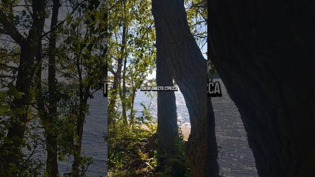 Почему психически здоровый человек тянется к природе смотреть онлайн