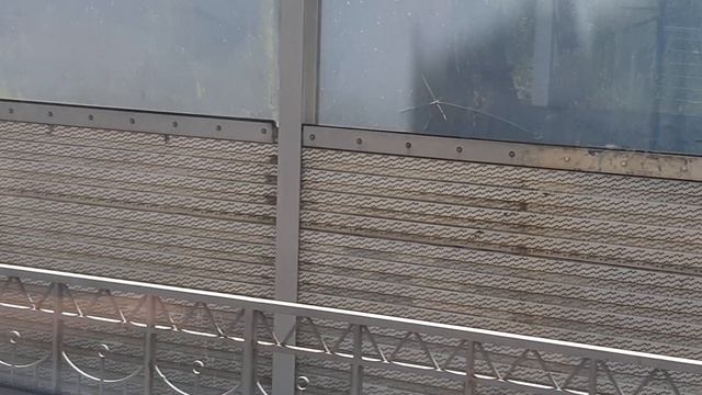 Поездка на Ласточке от Лазаревского до Сочи парка