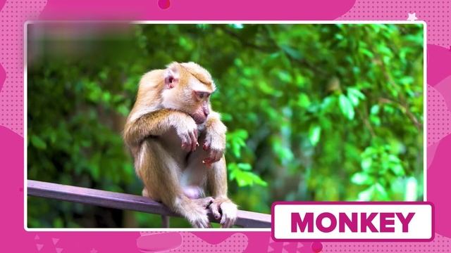 ✏️ Учим АЛФАВИТ для Детей – Пишем Буквы от А до Я 🅰️🅱️ смотреть онлайн