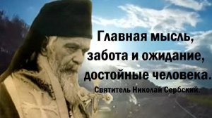Главная мысль, забота и ожидание, достойные человека. Святитель Николай Сербский.