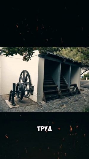 Откуда пошла беговая дорожка #беговаядорожка #зож #факты