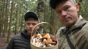 Дожди пошли И ГРИБЫ ПОШЛИ!