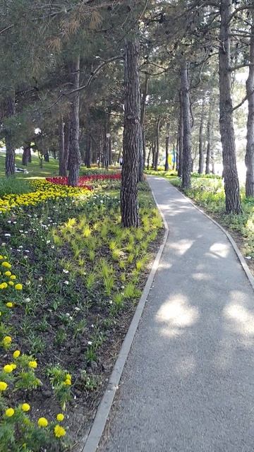 Геленджик смотреть онлайн