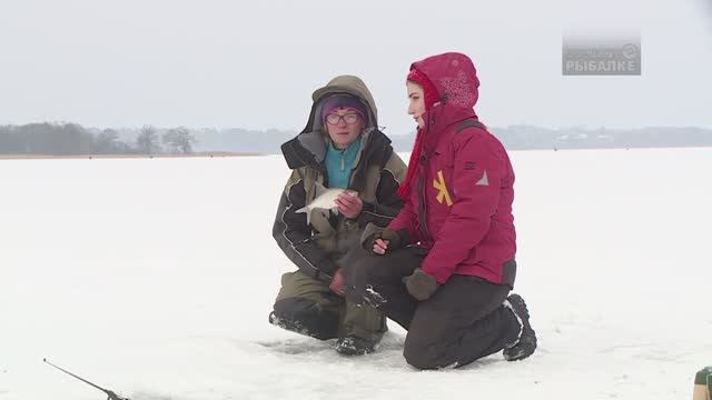 "НАРОДНЫЙ ПРОЕКТ БЕЛАРУСЬ" смотреть онлайн