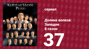 Долина волков: Западня 8 сезон 37 серия (сериал, 2010)