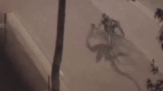 Эти видео невозможно объяснить смотреть онлайн