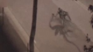 Эти видео невозможно объяснить