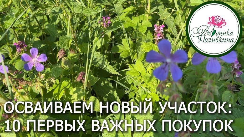 10 самых нужных покупок для нового участка смотреть онлайн