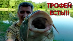 РЕКОРД Водоема. ТРОФЕЙ ко дню РЫБАКА #рыбалка #флэтфидер #карп #карась #сазан #жмыховка #макушатник