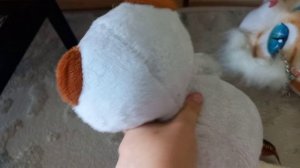 Жизнь басиков днём
😄