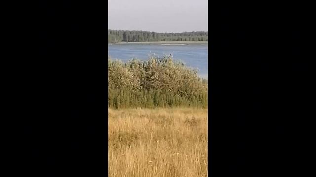 Неделя жизни в деревне не напрасна... смотреть онлайн