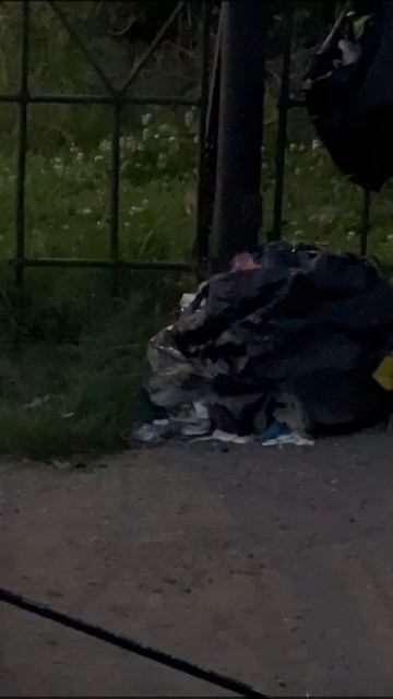 Ёжик на рыбалке