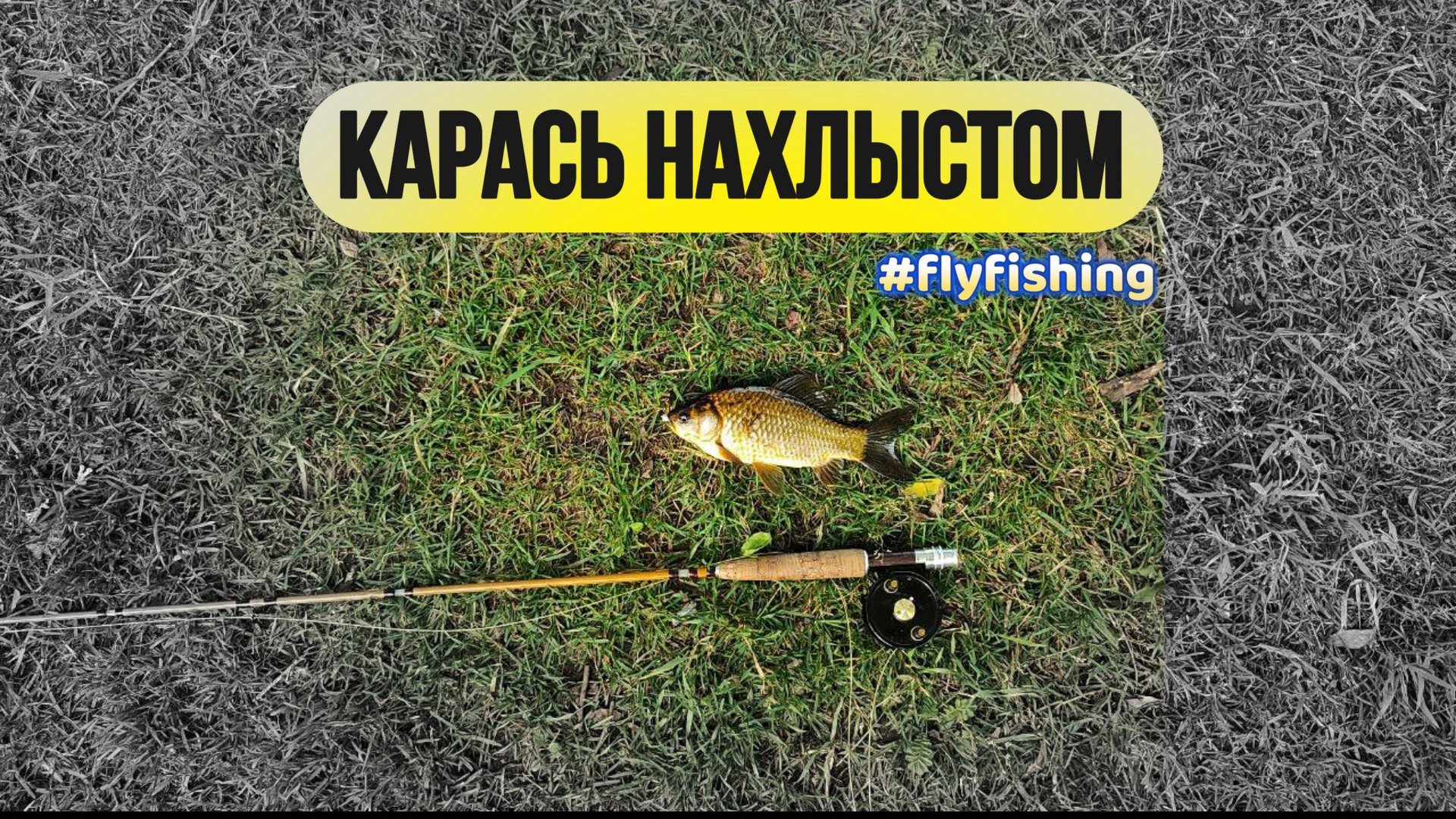 #нахлыст |Ловля карася нахлыстом |