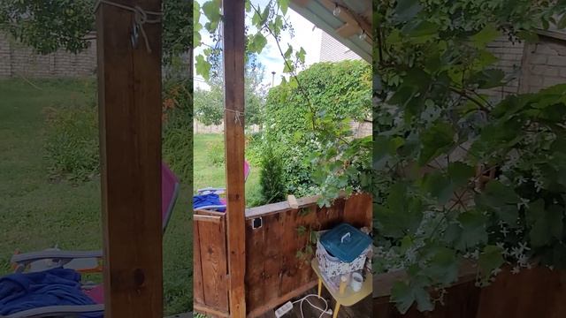 обзор сада смотреть онлайн