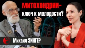 Новая Парадигма Медицины — Митохондриальная медицина. Взгляд Эксперта