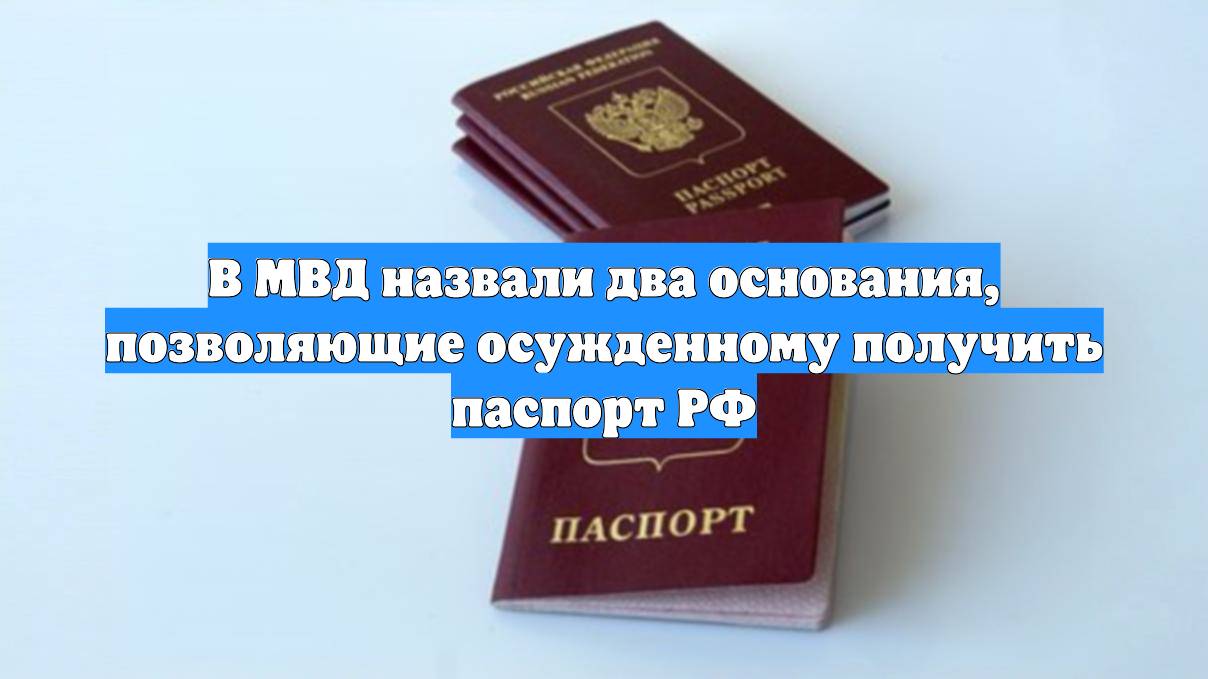 Первый Новостной