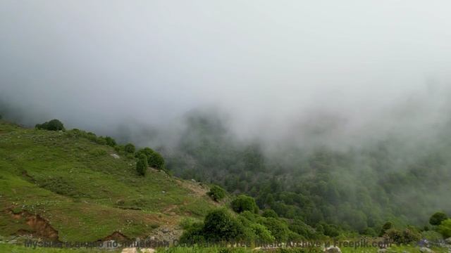 Если бы все клипы были такими, мир стал бы добрее! - Risers -- Chad Crouch -- Arps II