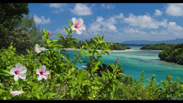 Что скрывает этот туман - Action -- Chad Crouch -- Arps II