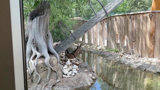 July 12 2025 Calgary Zoo And Dima’s BD