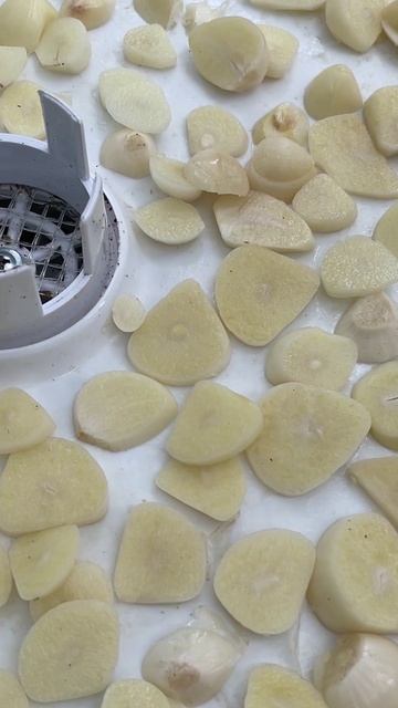 ОТЛИЧНАЯ ЗАГОТОВКА ИЗ НЕСТАНДАРТНОГО ЧЕСНОКА смотреть онлайн