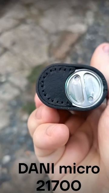 кожаный Dani micro 21700 смотреть онлайн