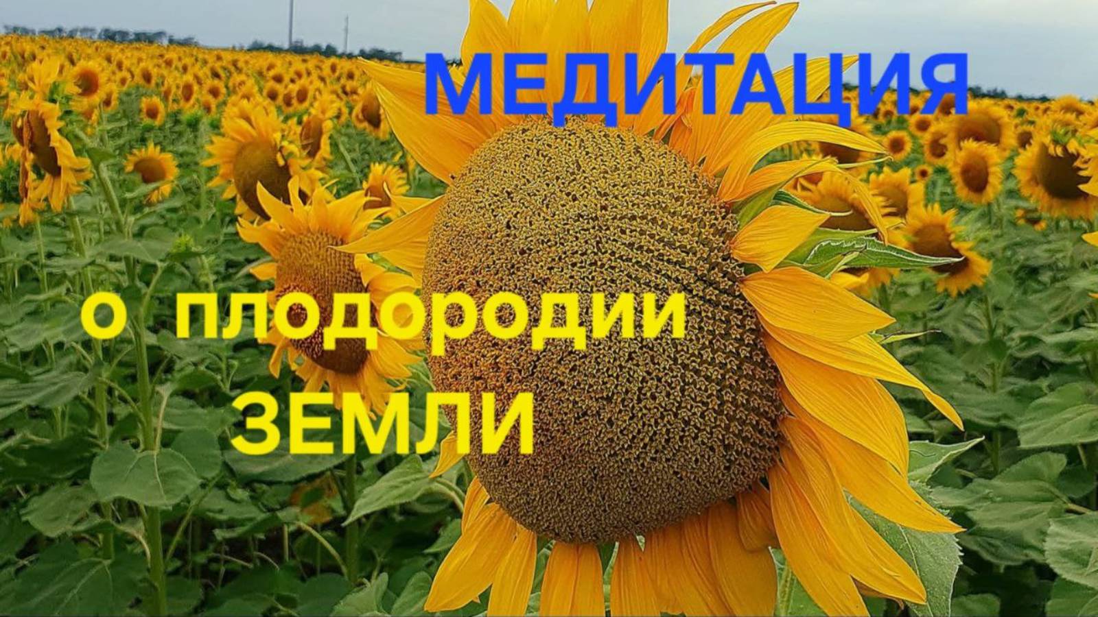 Медитация о плодородии Земли. #вселеннаяя
